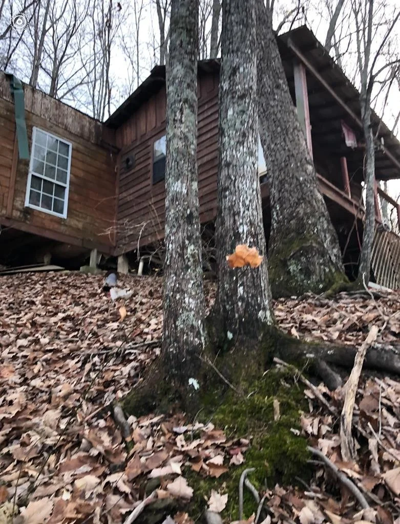 Photo of 4159 Chamberlain Lane