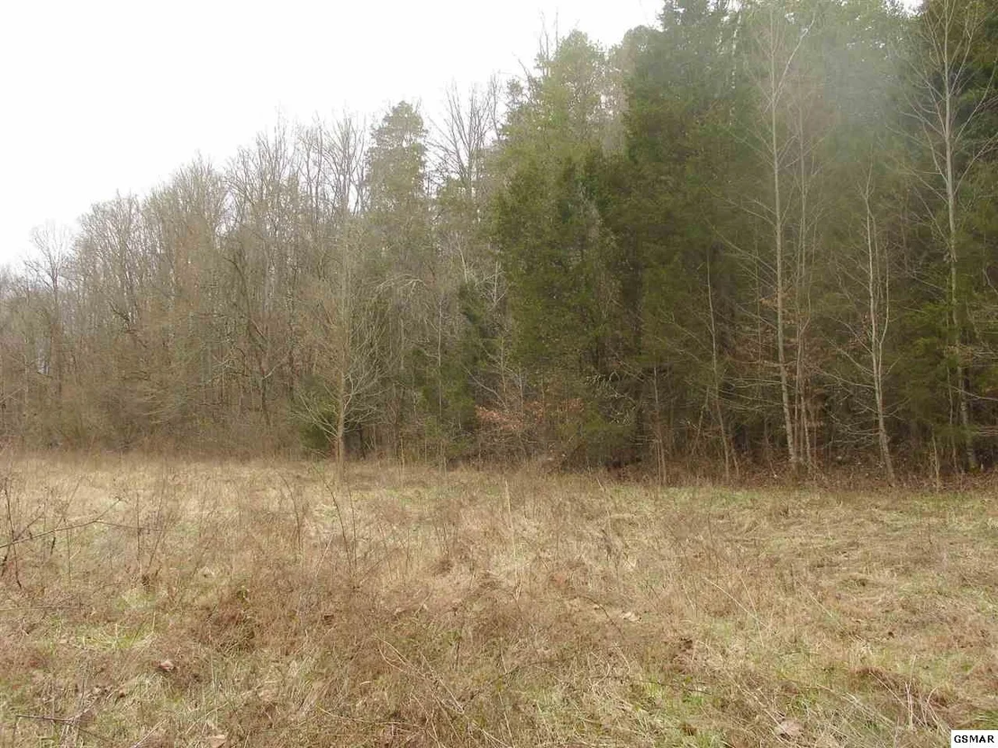 Photo of 1193 Flat Creek Road