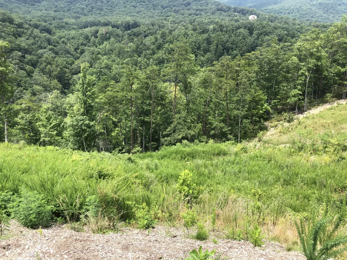 Photo of 3050 Smoky Bluff Trail