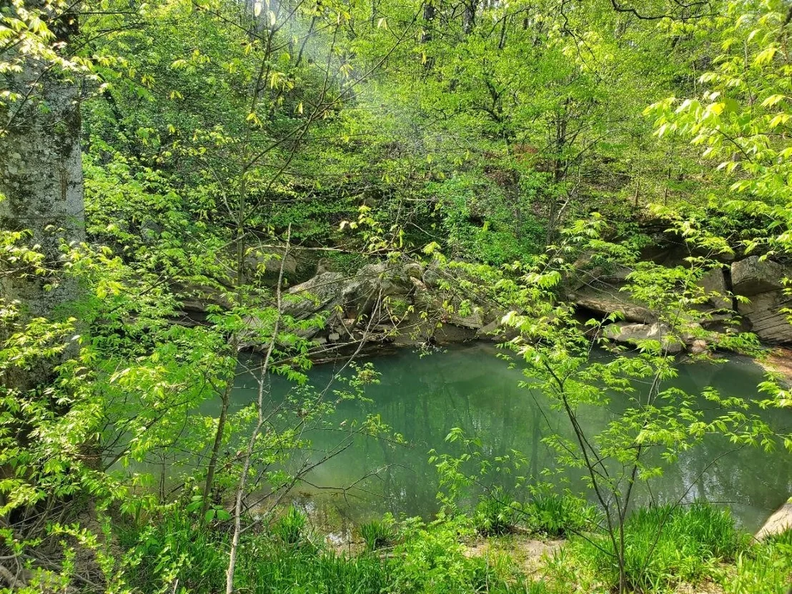Photo of 1440 Chickadee Circle