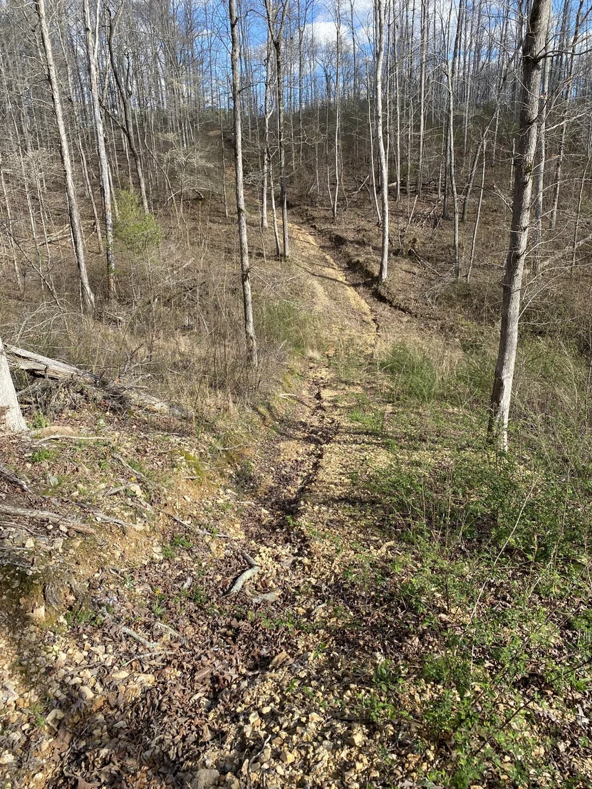 Photo of 401 Napier Rd