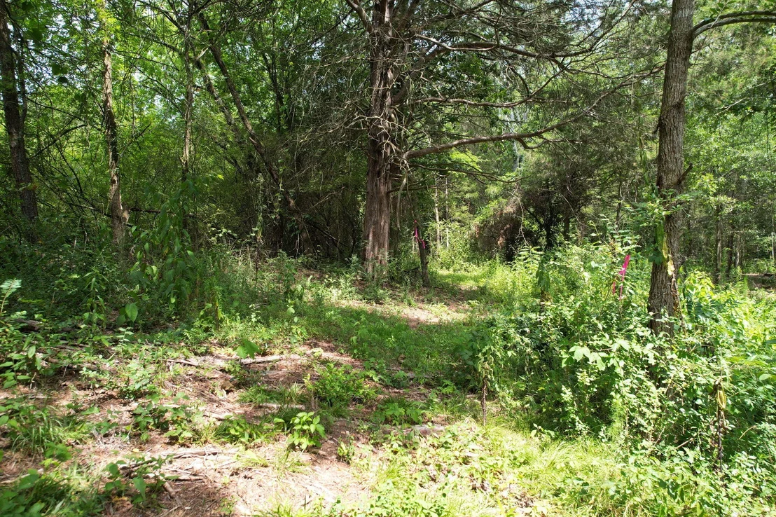 Photo of 326 Mcclure Road