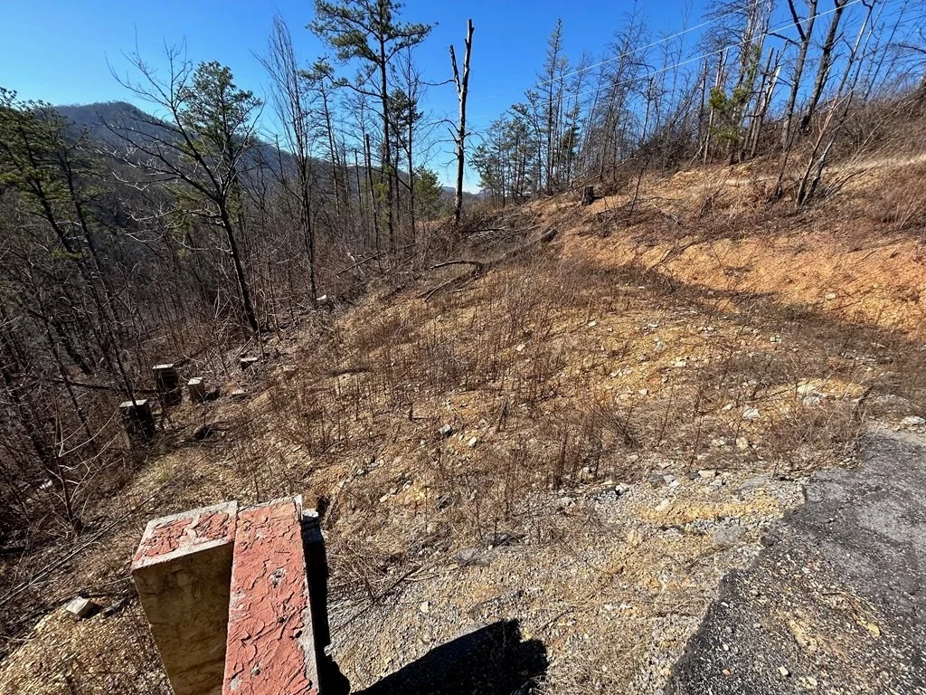 Photo of 3304 Sugar Maple Loop Road
