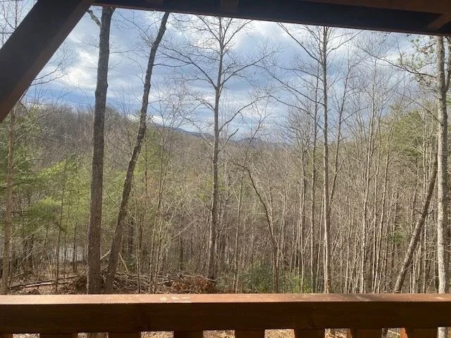 Photo of 1430 Ski View Lane