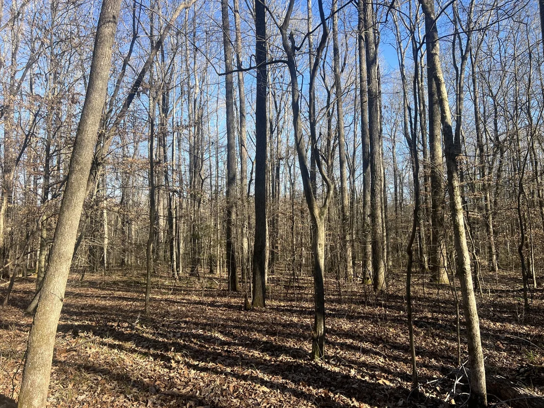 Photo of 0 Excalibur Trail