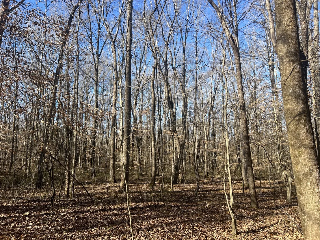Photo of 0 Excalibur Trail