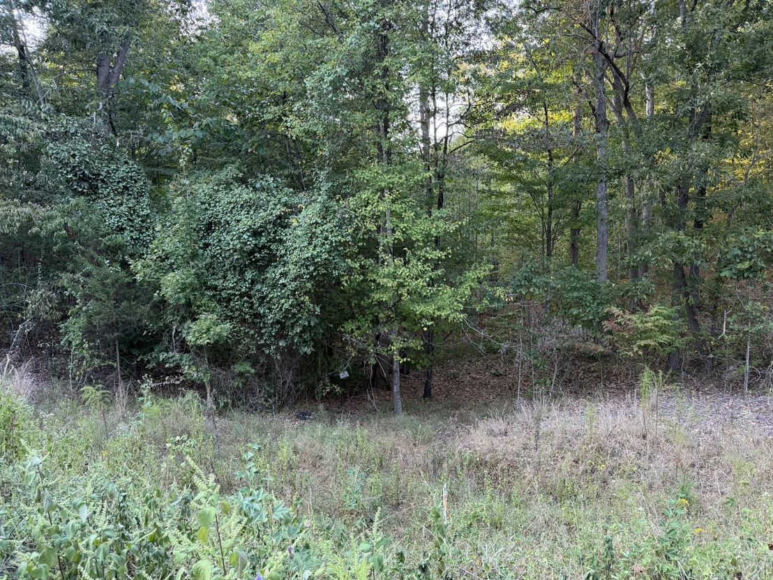 Photo of 0 Magnolia Lane