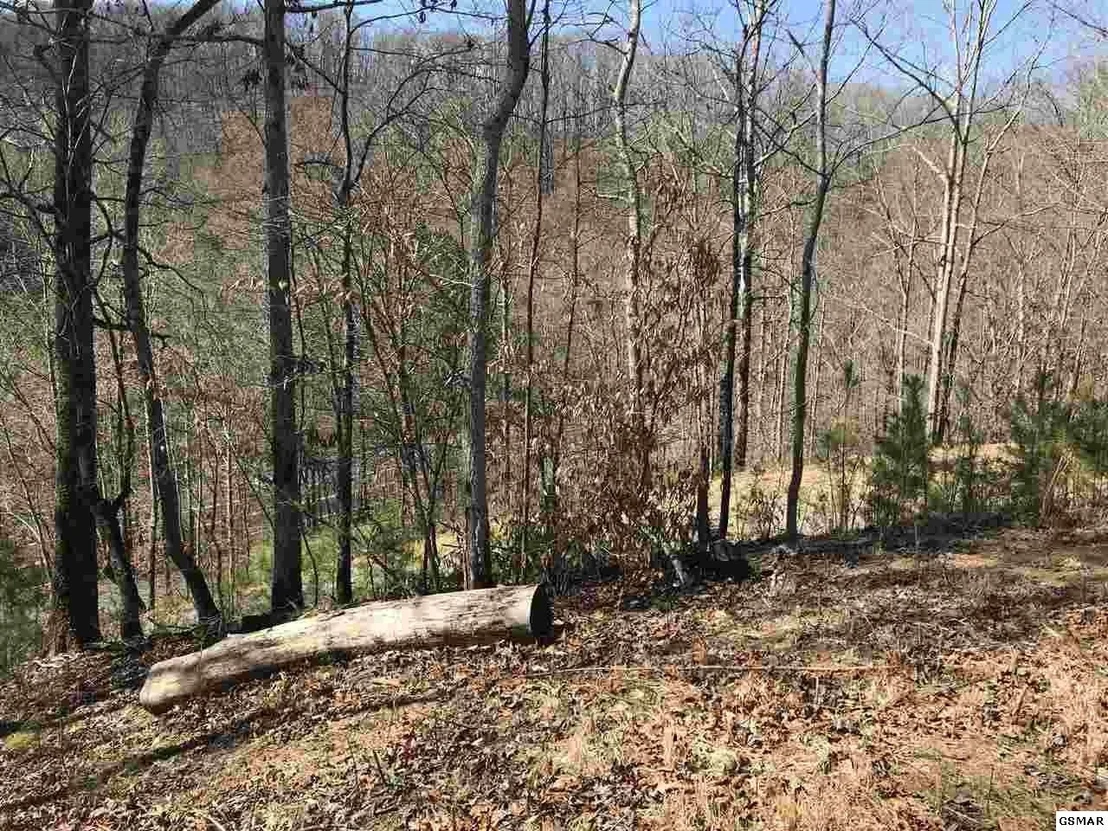 Photo of 1718 Highway 25E
