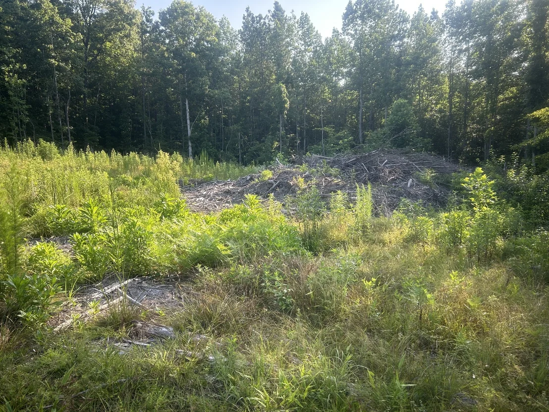 Photo of 2853 Old Natchez Trace Trail