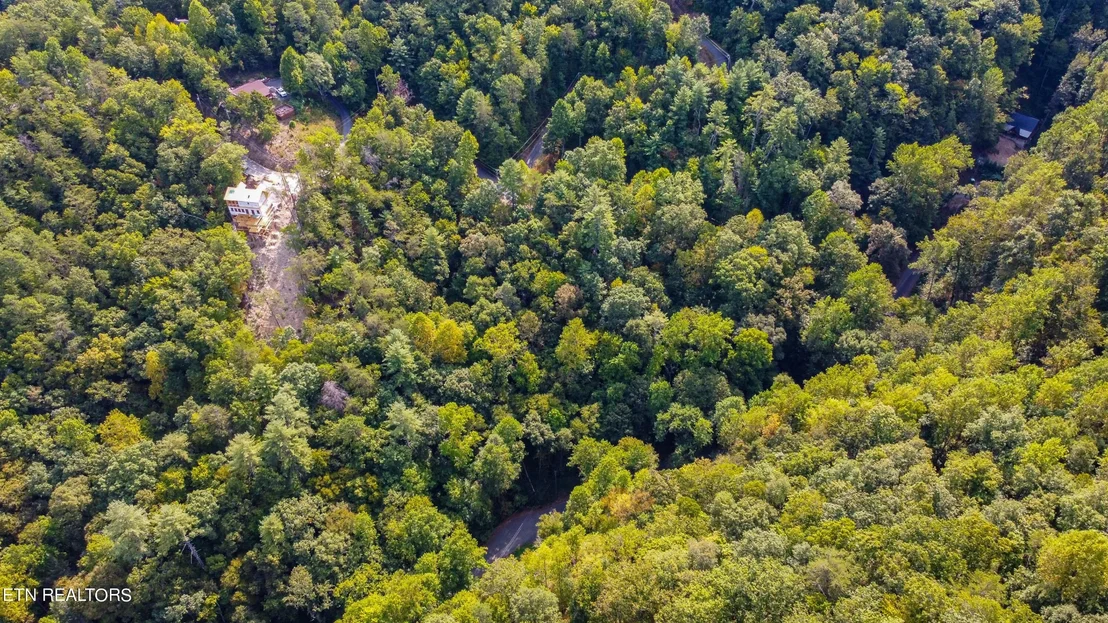 Photo of 20 Sugar Maple Loop