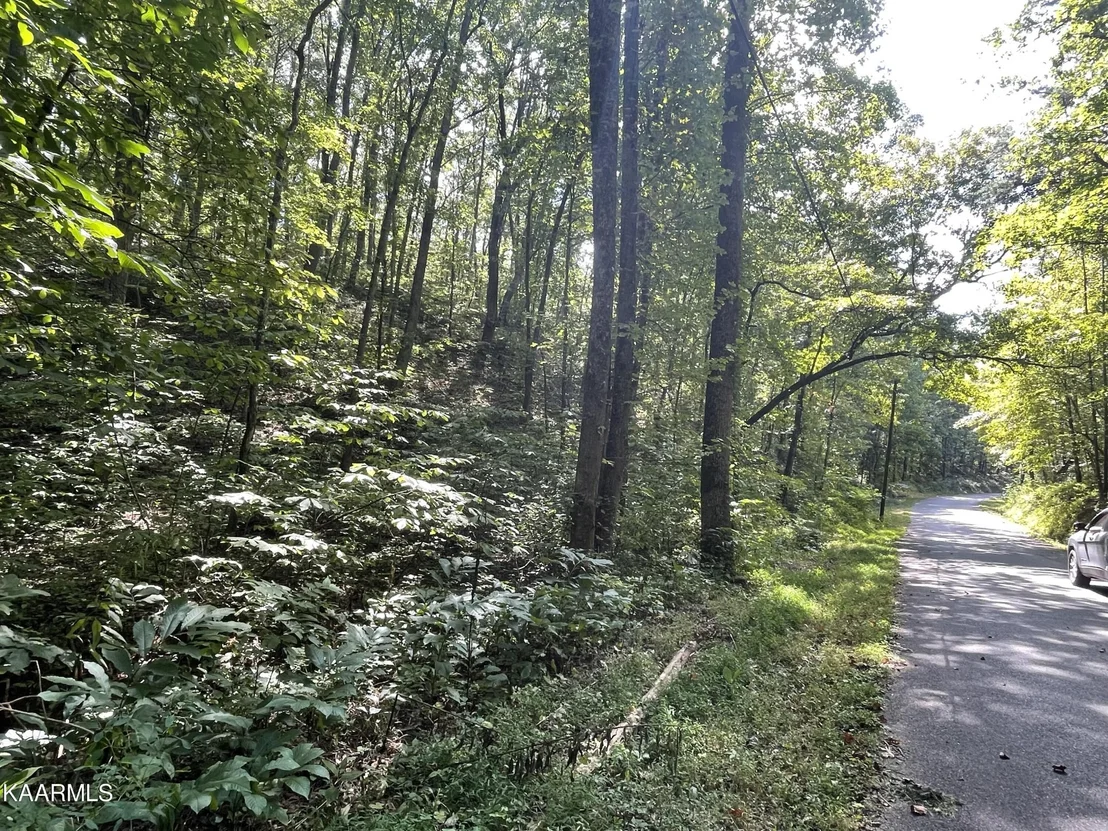 Photo of 2065 Dyer Hollow  Rd