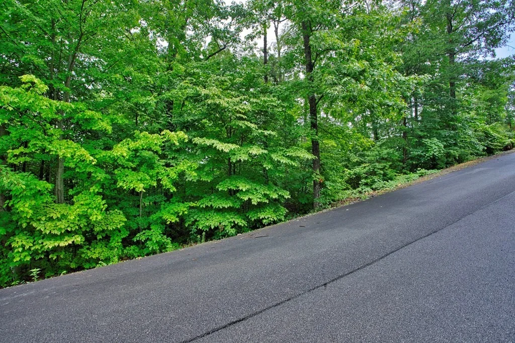 Photo of 19 STACKSTONE Road