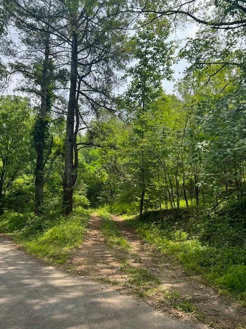 Photo of 290 Moore Hollow Rd