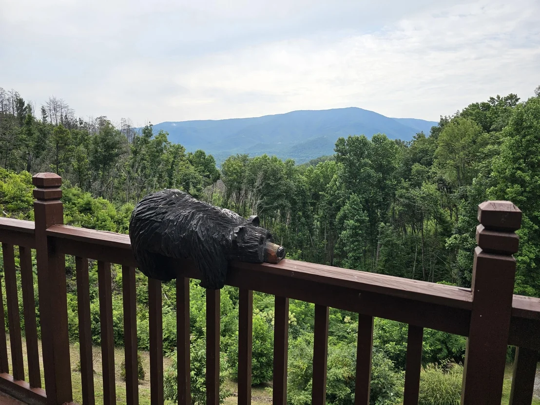 Photo of 2729 Hatcher Mountain Road