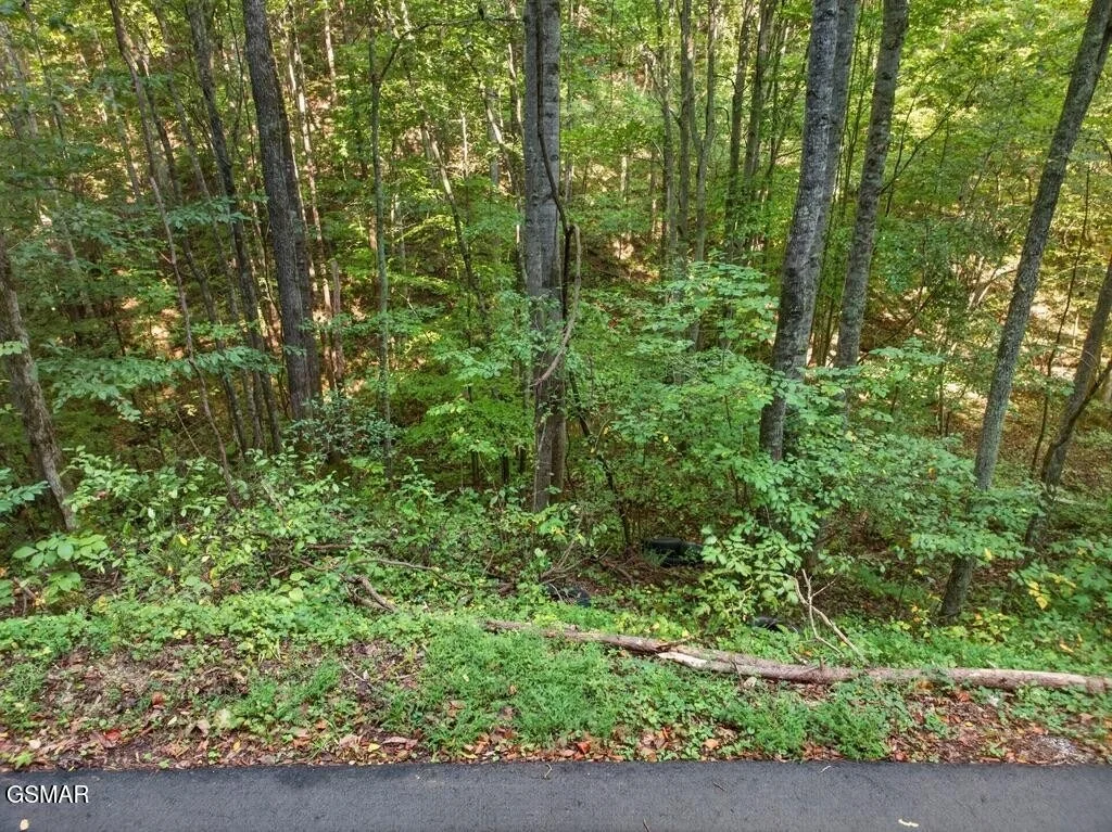Photo of 1314 Speedwell Chuch Rd
