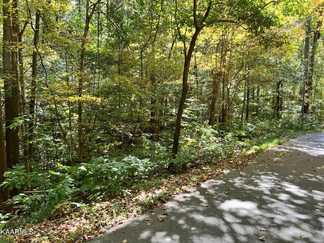 Photo of 1875 Dyer Hollow Rd