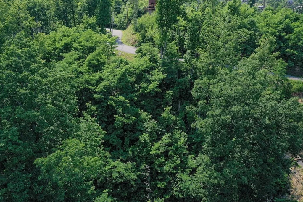 Photo of 714 Pinecrest Drive