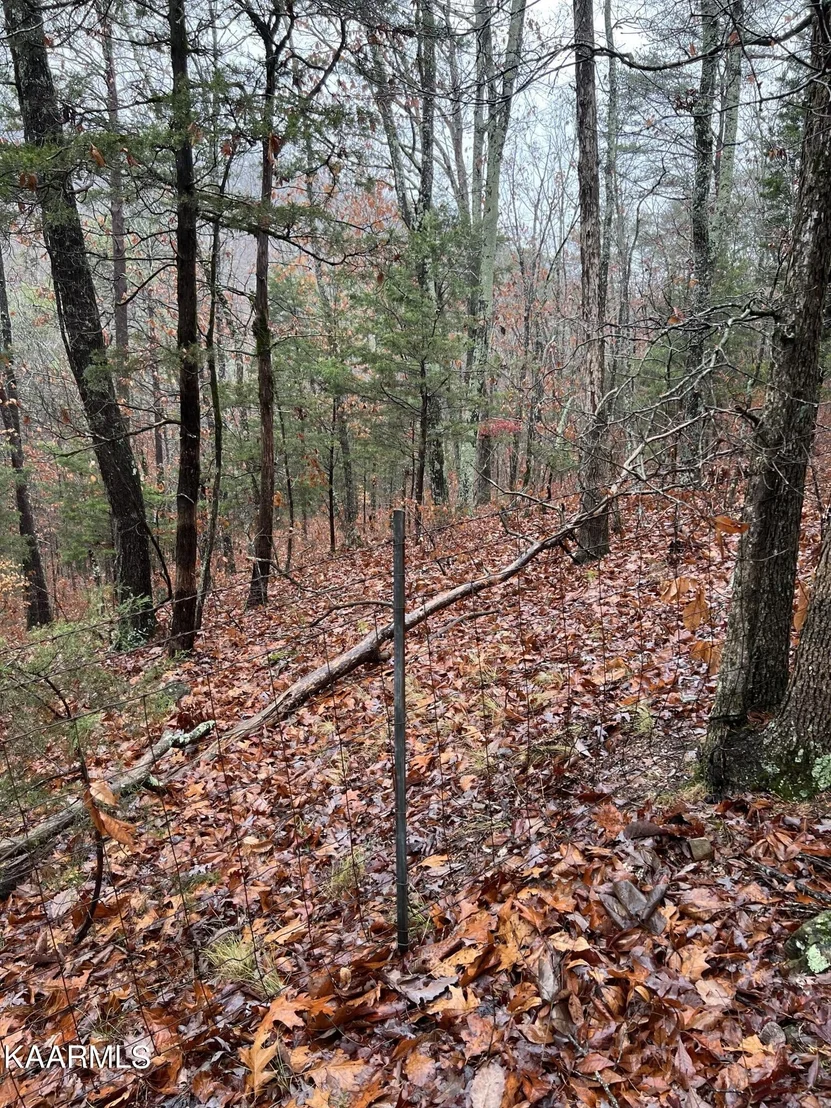 Photo of 2065 Dyer Hollow  Rd