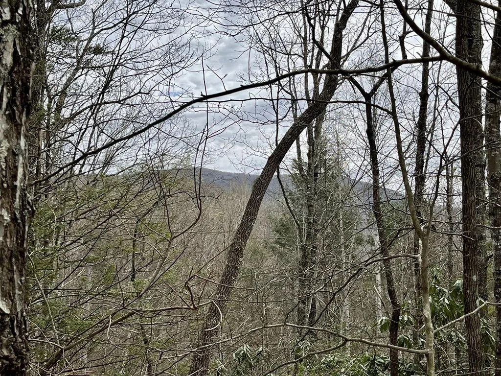 Photo of 3719 Clabo Mountain Lane