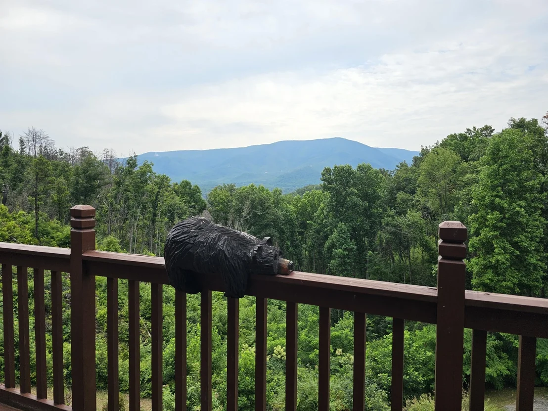 Photo of 2729 Hatcher Mountain Road