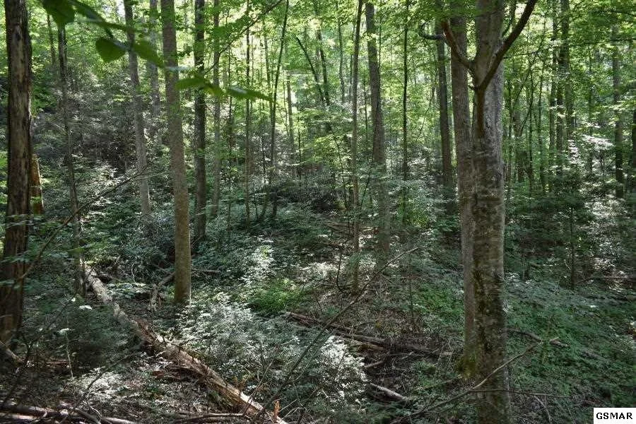 Photo of 3036 Redtail Road