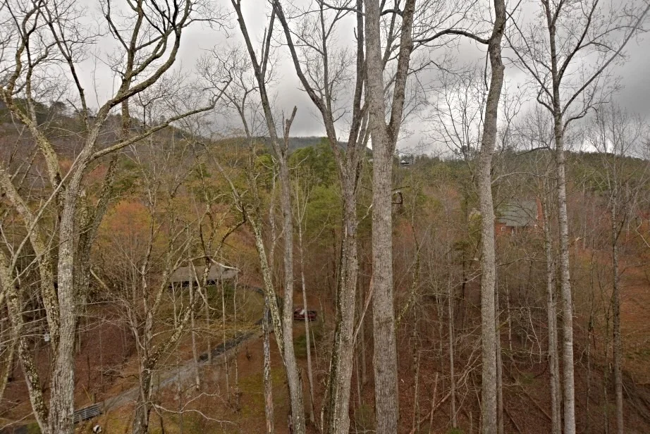 Photo of 2016 Shamrock Way