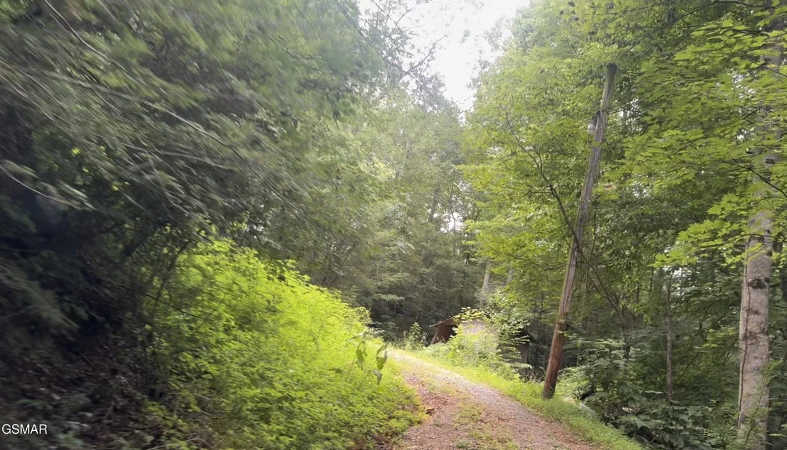 Photo of 1210 Laurel Lick Road