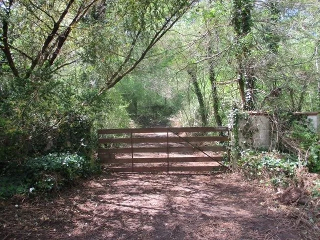 Photo of 0 Honeycomb Rd