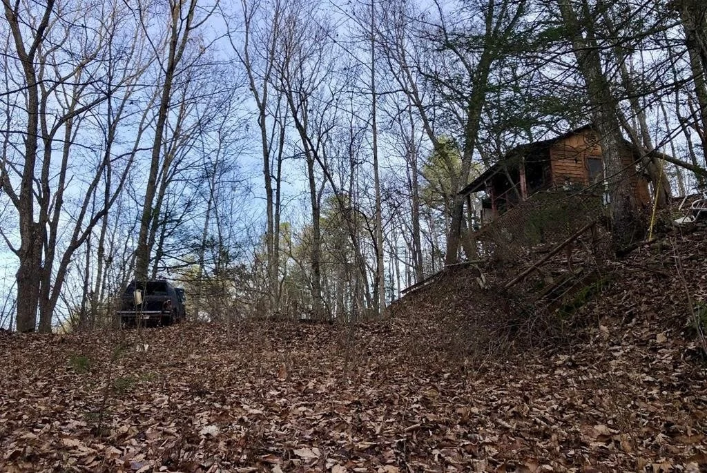 Photo of 4159 Chamberlain Lane