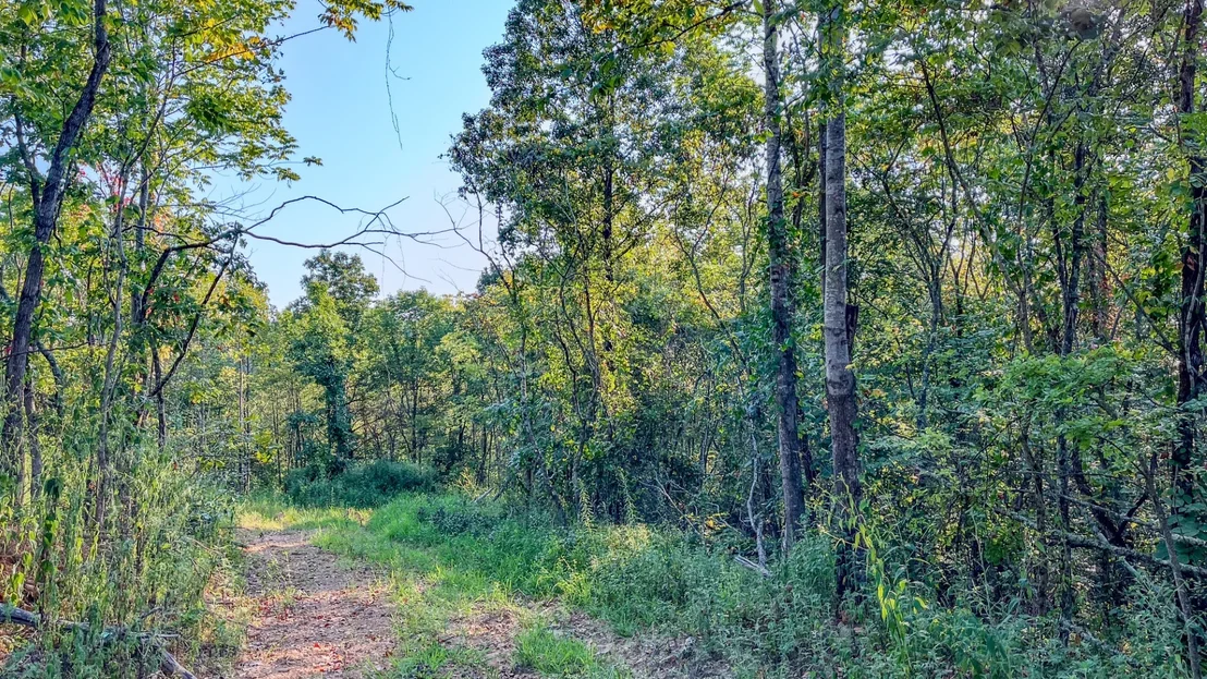 Photo of 0 Highway 232