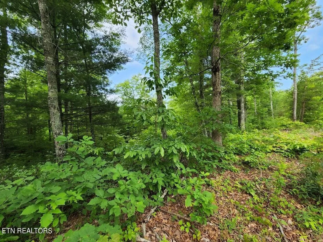 Photo of 441 Hawken Drive