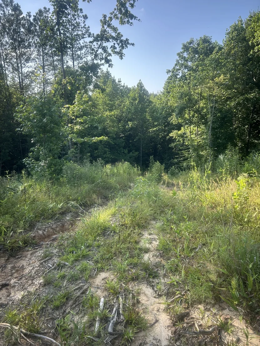 Photo of 2853 Old Natchez Trace Trail