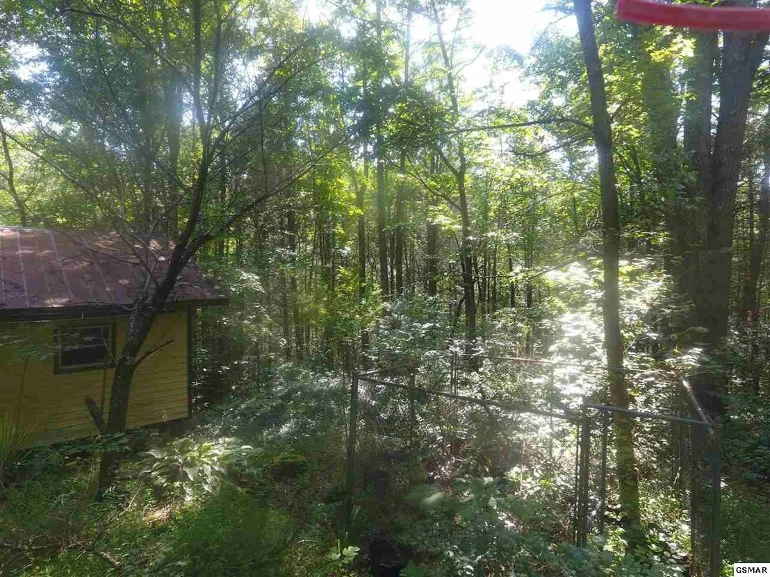 Photo of 3695 Shady Springs Way