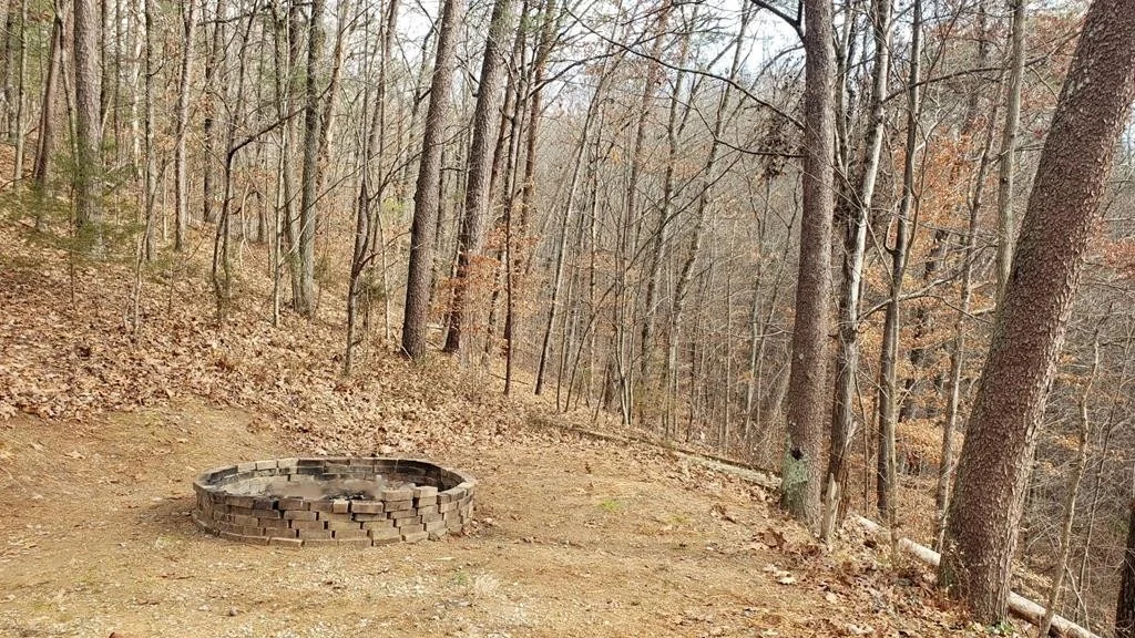 Photo of 2905 Caughron Mountain Road