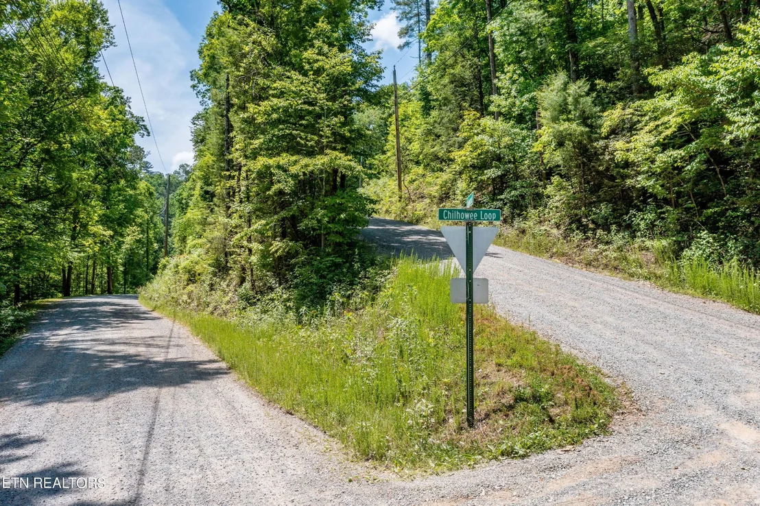 Photo of 0 Chilhowee Loop