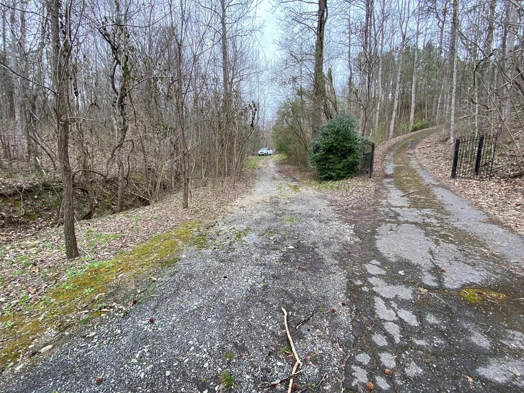 Photo of 4841 Old Walland Highway