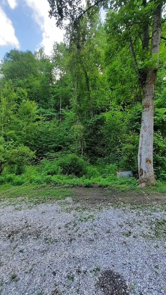 Photo of 4252 Bruce Ogle Way