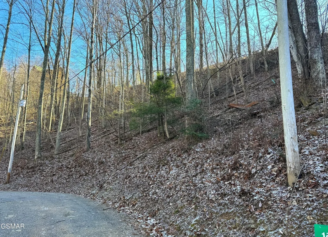 Photo of 1872 Orchard Drive