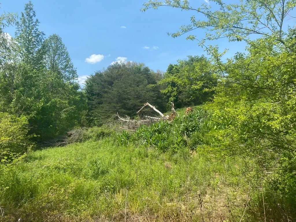 Photo of 0 Lot Tr 1 Sugar Loaf Road