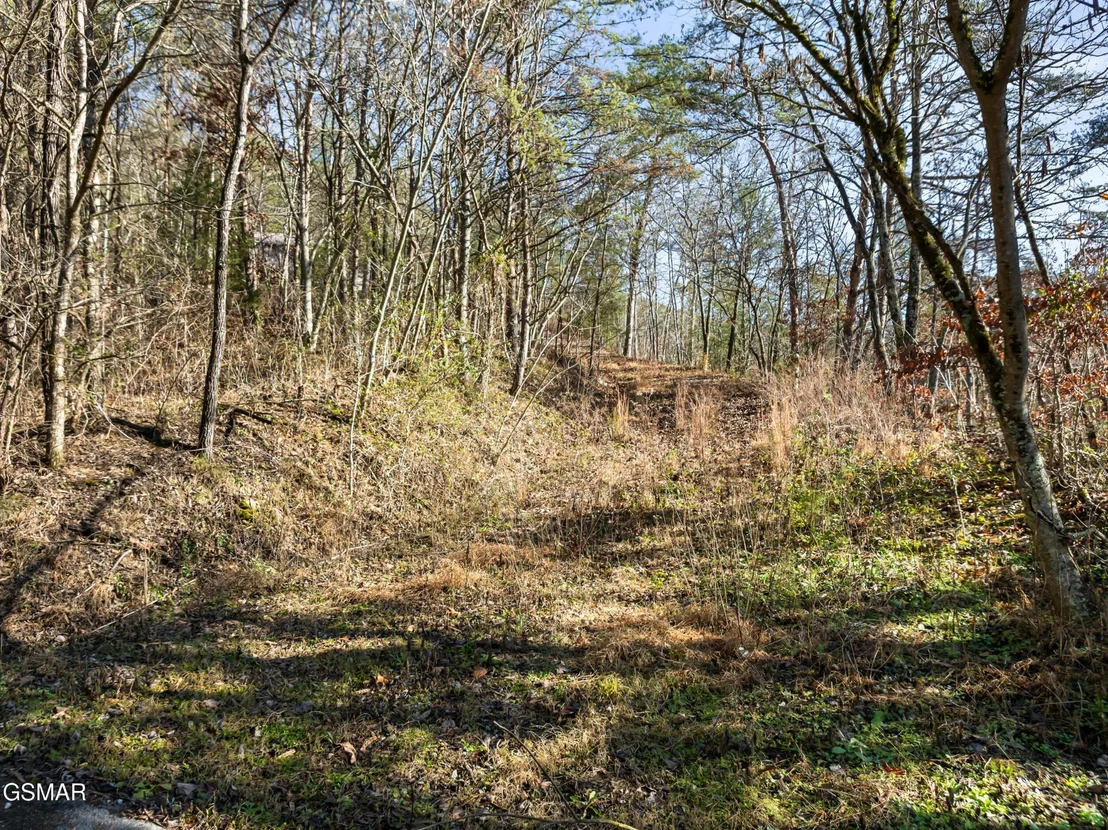 Photo of 3461 Lost Branch Road
