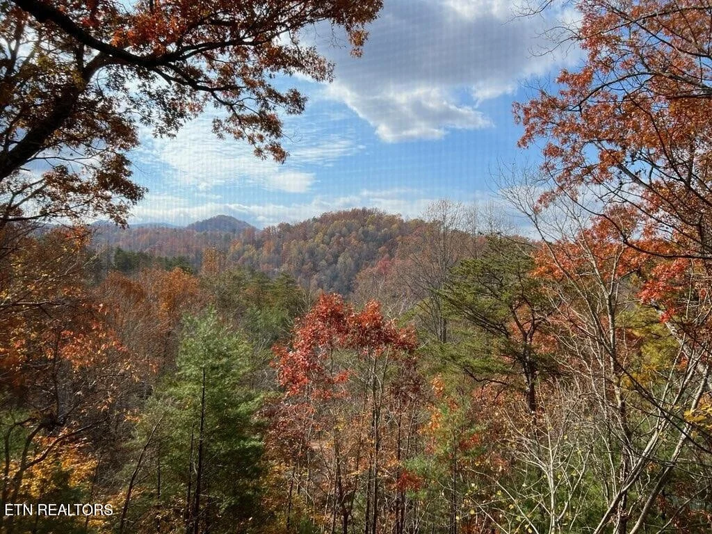 Photo of 419 Sassafras Tr