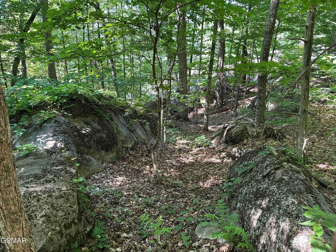 Photo of 1820 Babbs Mill Road