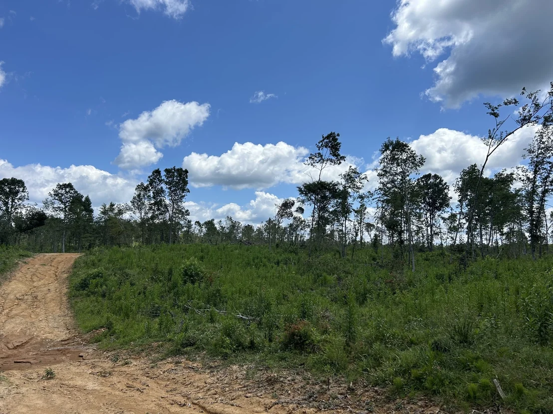 Photo of 0 Wynn Rd