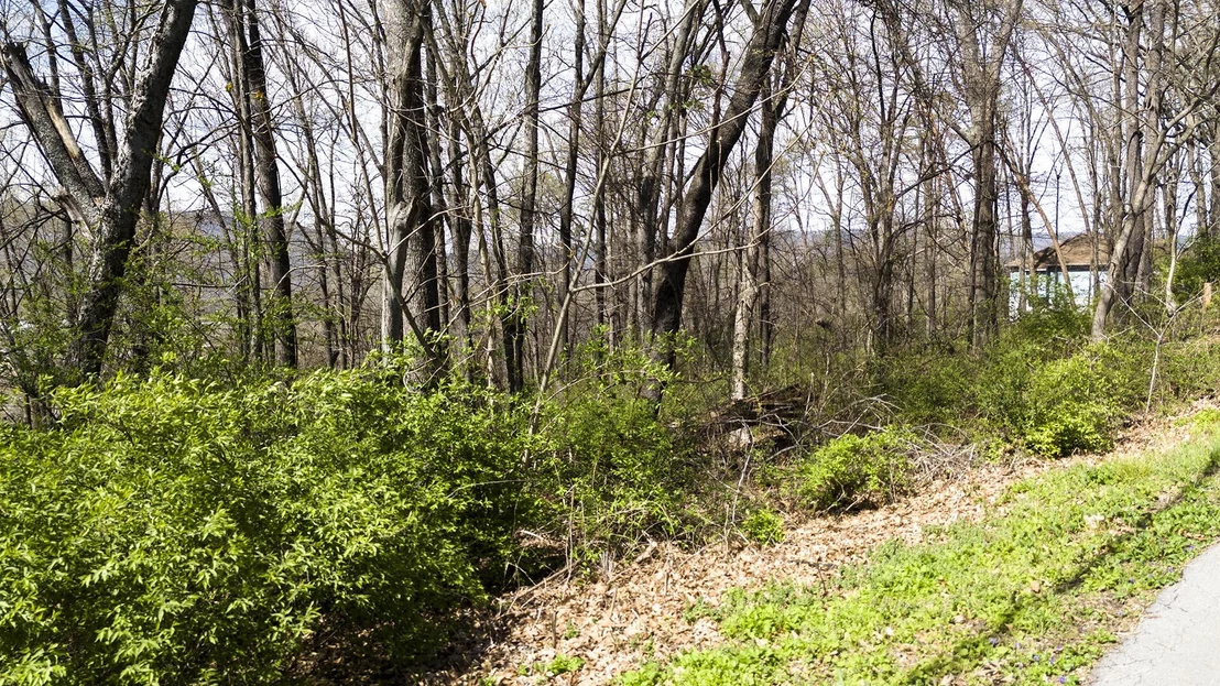 Photo of 269 Whitehall Road