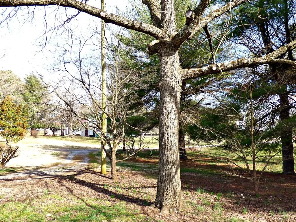 Photo of 1749 Walnut Street