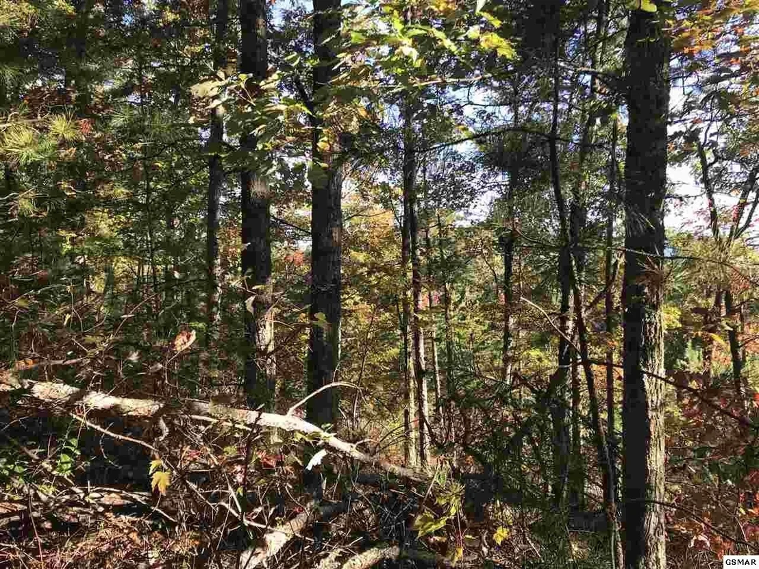 Photo of 132 Settlers View Lane