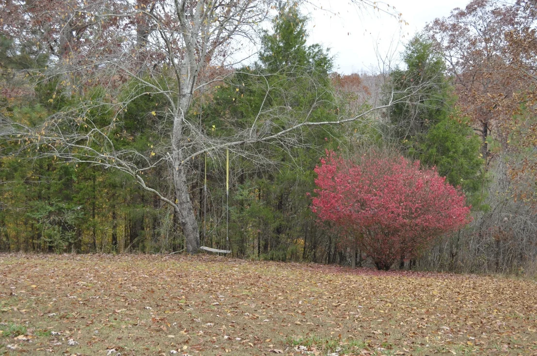 Photo of 547 Grindstone Hollow Rd