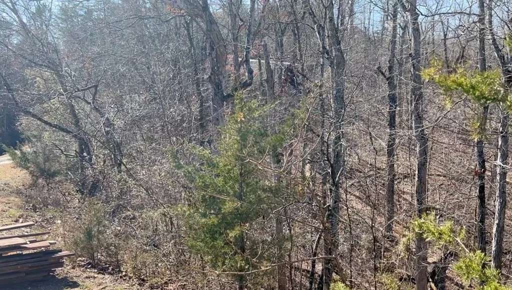 Photo of 1241 Flat Creek Road