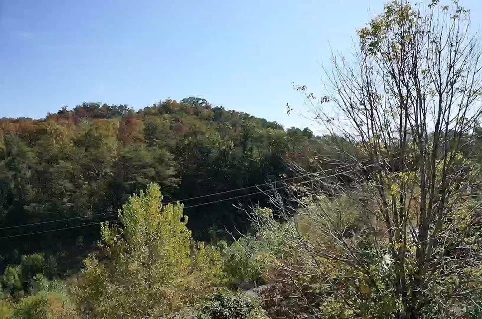 Photo of 1819 Chapman Hwy