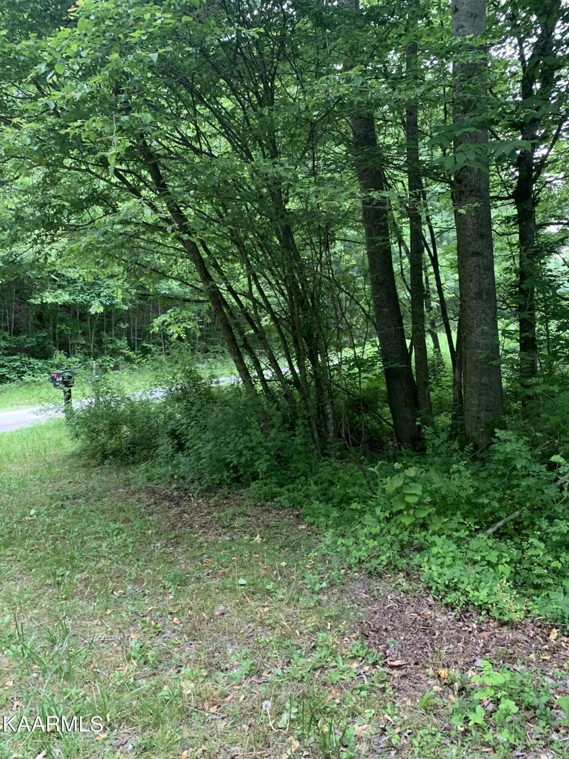 Photo of 1971 Steve Brown Rd